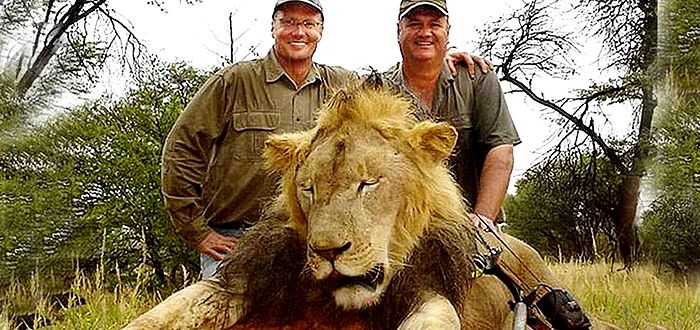 Проблема защиты животных и африканская охота